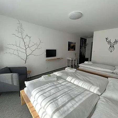 Hotel Hotel Varnsdorf 3*