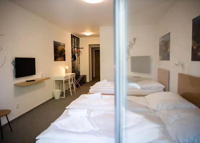 Hotel Varnsdorf فندق